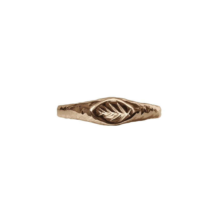 Palma Slim Roman Signet Ring