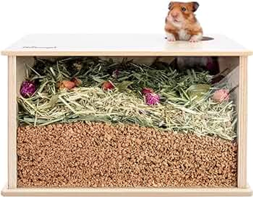 Niteangel Visible Hamster Digging Box for Syrian Dwarf Roborovski Campbell Hamsters Gerbils Mice Lemmings Degus or Other Small-Sized Pets (Burlywood)