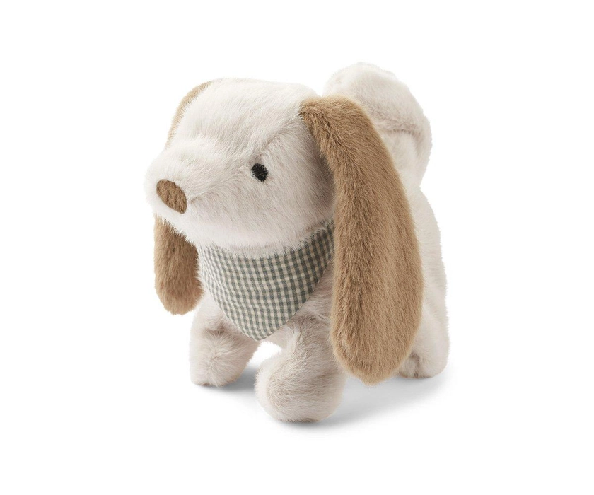 Chiot Électrique Teddy Sand