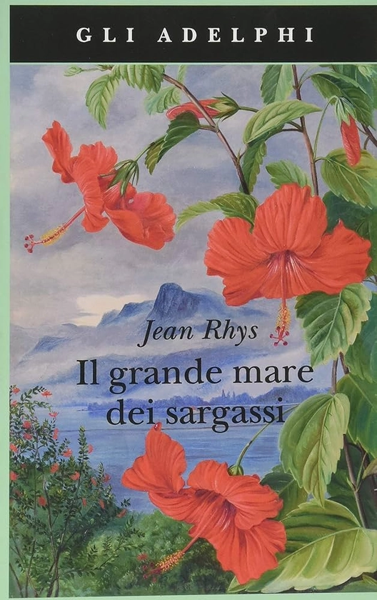 Il grande mare dei sargassi