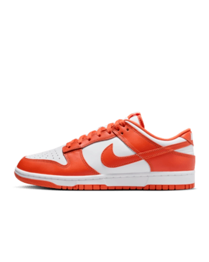 Nike Dunk Low Retro Men's Shoes