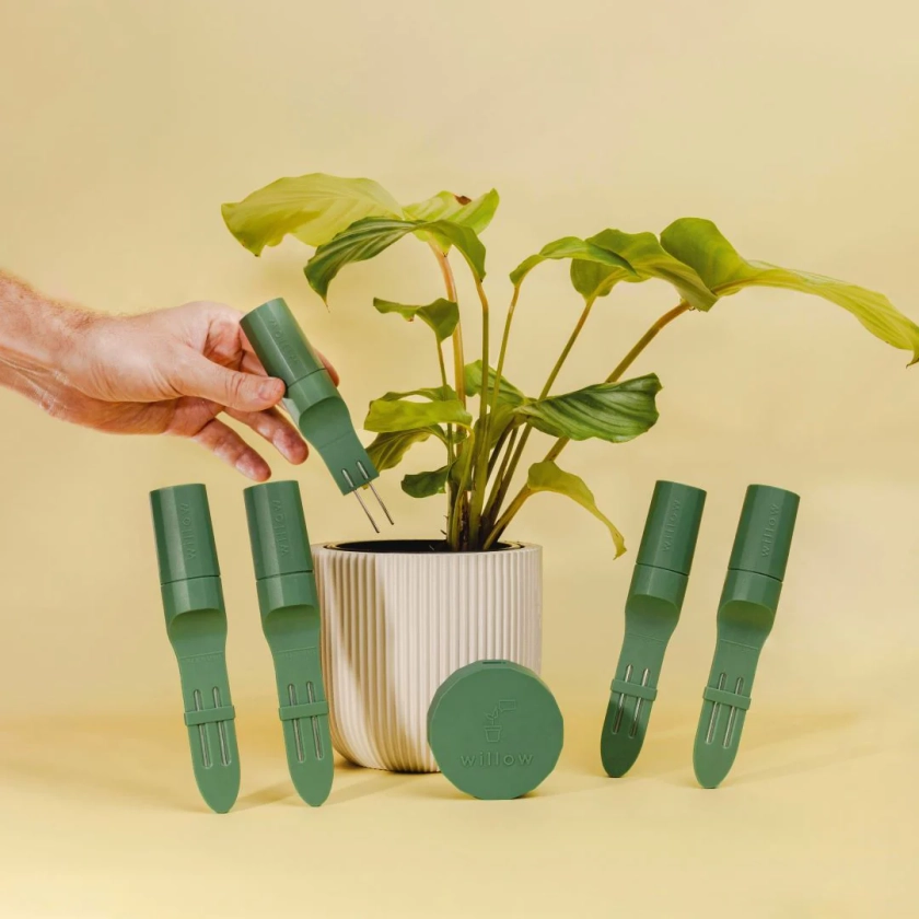 Urban Jungle - Smart Plant Sensors with Hub and App for Houseplants