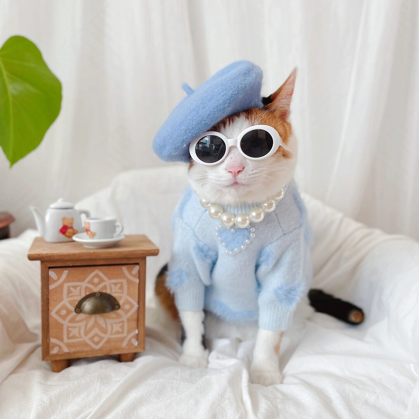 Blue Heart Knit Sweater Pet Cat Dog Winter Outfit Coat Costume Hat Necklace Glasses Christmas Birthday Gift Photo Shoot Tiktok Miyopet - Etsy UK