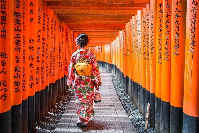 Trip to Japan: from Tokyo to Kyoto and beyond | WeRoad