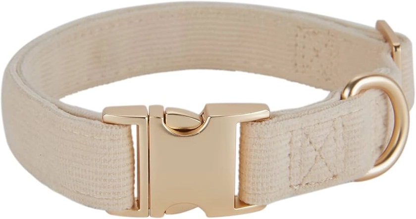 Amazon.com : Petiry Soft Corduroy Fibric Dog Collar with High Grade Metal Buckle, for Medium Dogs.(White,Medium:12-19") : Pet Supplies