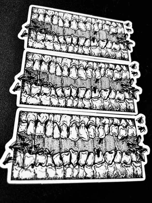 Teeth Flies Horror Art Sticker