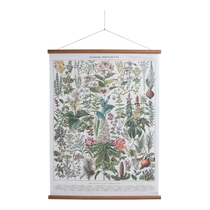 Large Medicinal Plant Linen Scroll Wall Hanging - World Market