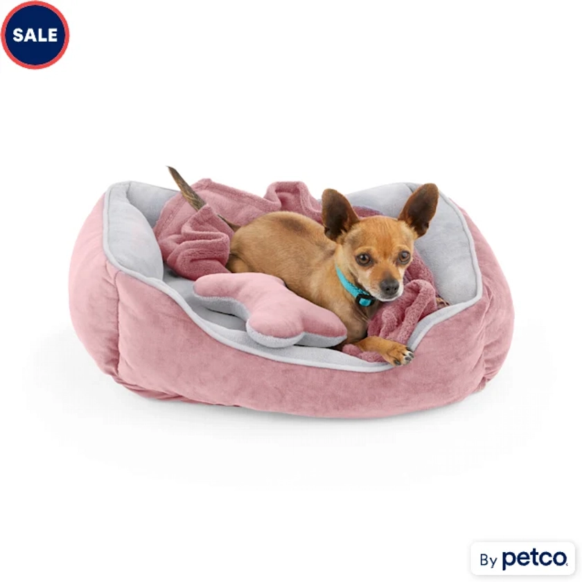 EveryYay Essentials Dog Bed Bundle, 22" L X 18" W, Small, Gray | Petco