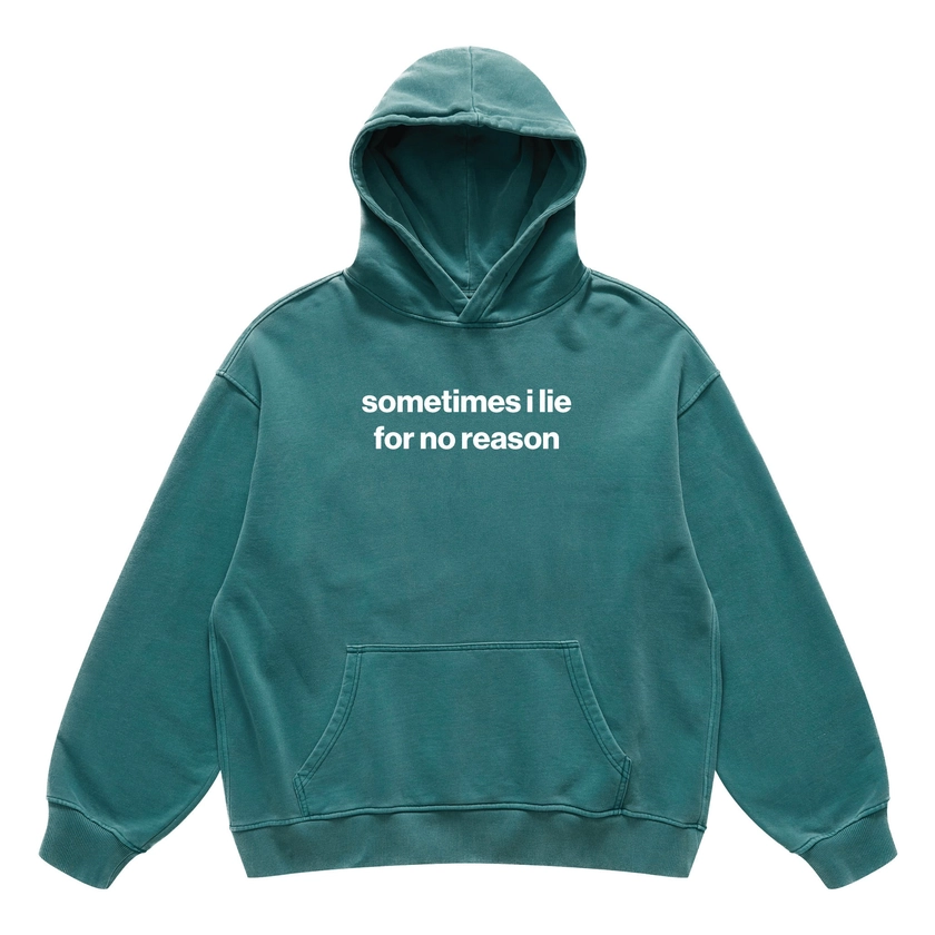 sometimes i lie for no reason hoodie