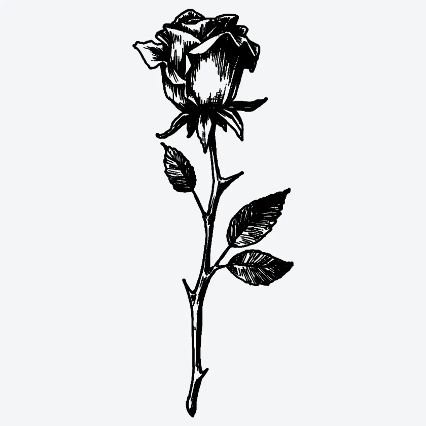 Blvck Rose Semi-Permanent Tattoo. Lasts 1-2 weeks. Painless and easy to apply. Organic ink. Browse more or create your own.
