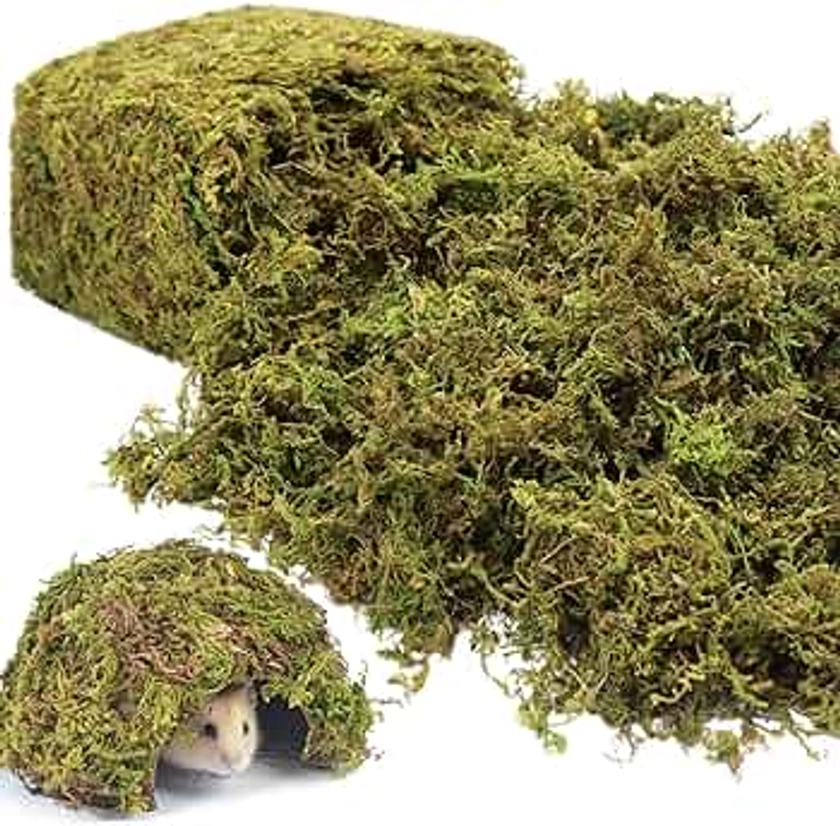 25QT Natural Hamster Moss Bedding Nesting-Soft Forest Moss Hamster Habitat Reptile Moss for Dwarf Syrian Hamsters, Mices, Gerbils, Reptiles, Small Pets (1.3LBS)