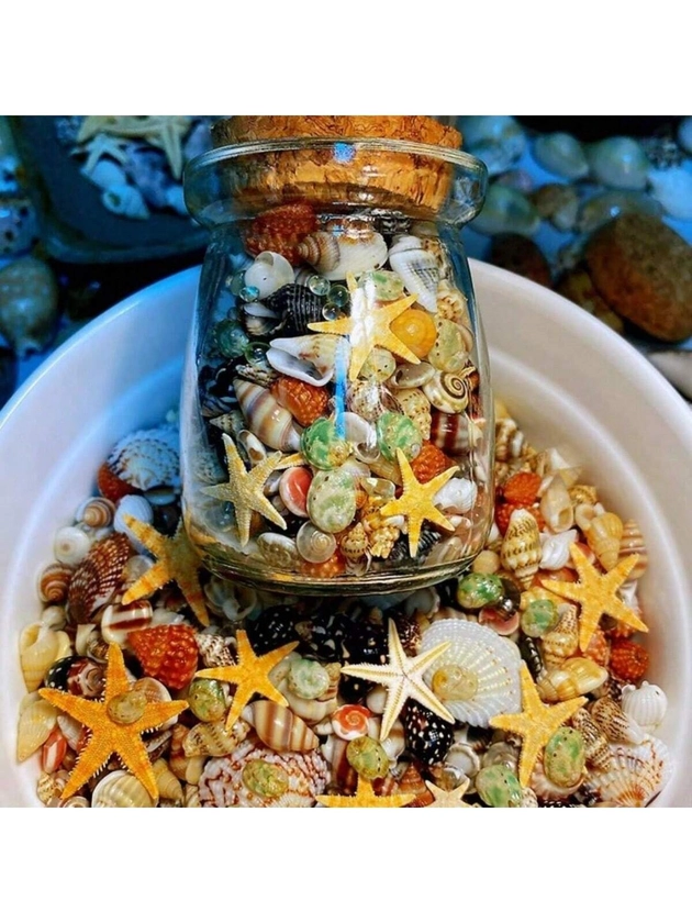 400pcs Natural Seashells & Conches, 6 Assorted Tiny Sea Shells (Including 1 Glass Jar)