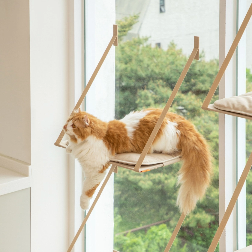 애니멀리프 접을 수 있는 고양이 창문 캣타워 1개 원목 미니 소형 캣워크 캣워커 DIY : klos