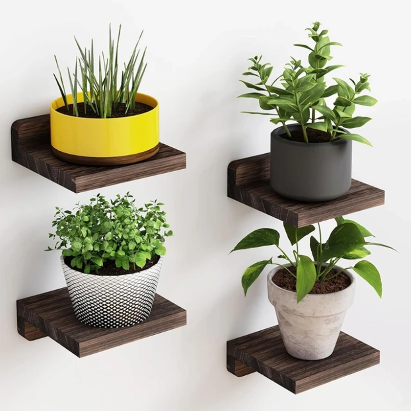 4-Pack Small Floating Shelves for Wall, Wood Shelf 5 Inch Display Ledges Room Decor, Mini with 2 Types of Installation