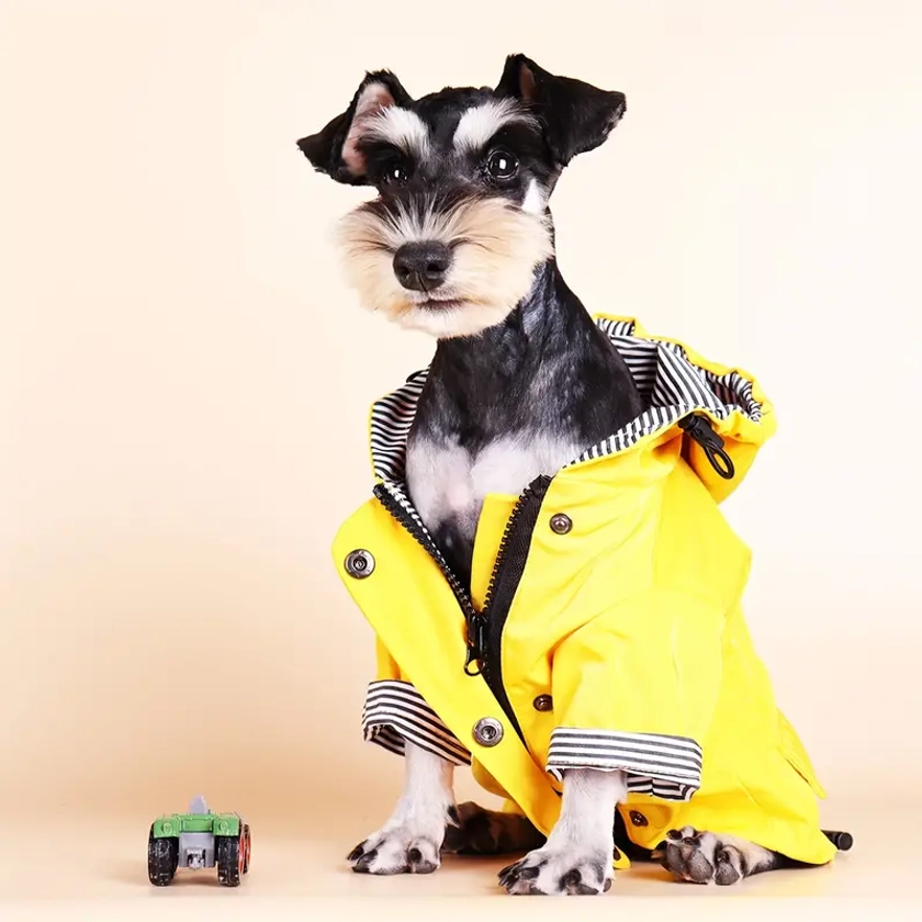 Votre Chiot Au Chaud Et Au Sec Avec Cette Élégante Veste De Pluie Rayée ! - Pet Supplies - Temu France