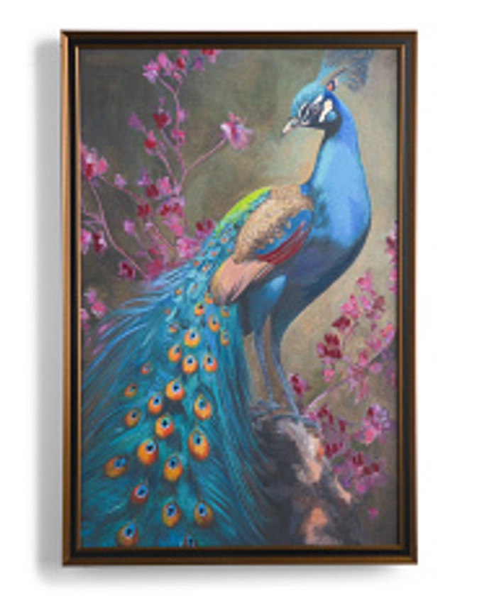 24x36 Doll Memories Mr Peacock Framed Wall Art | Wall Art | T.J.Maxx