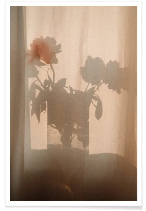 Abstract — Flower Shadow I affiche