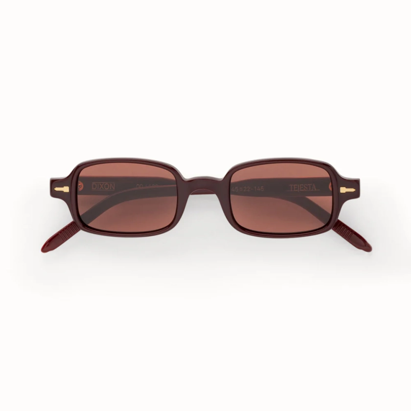 Dixon Perennial | Sunglasses | TEJESTA