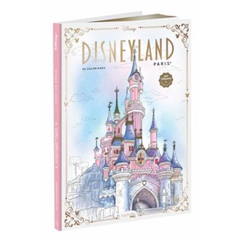 Disneyland Paris - relié - Tracy De Sousa - Achat Livre | fnac