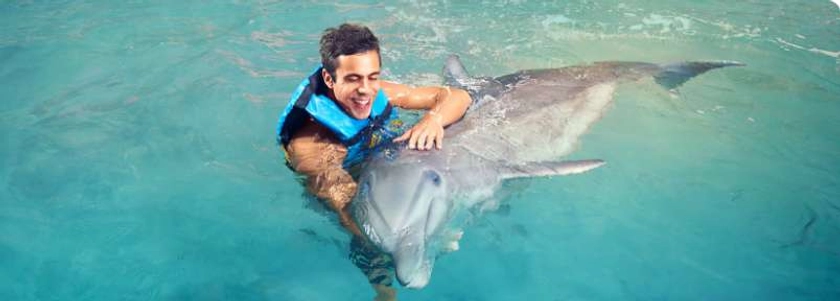 Dolphin Swim Adventure in Ocho Rios Jamaica | Dolphin Cove