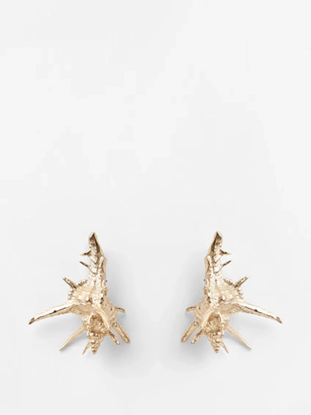 Tara Shell earrings