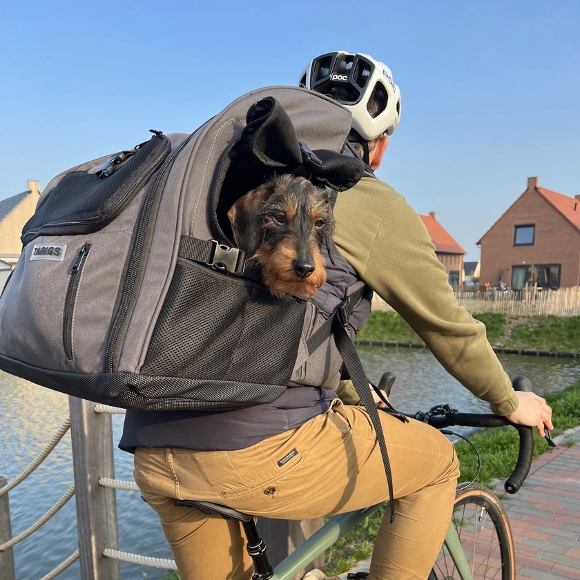 Backpack for Dachshund - The perfect solution for adventures.