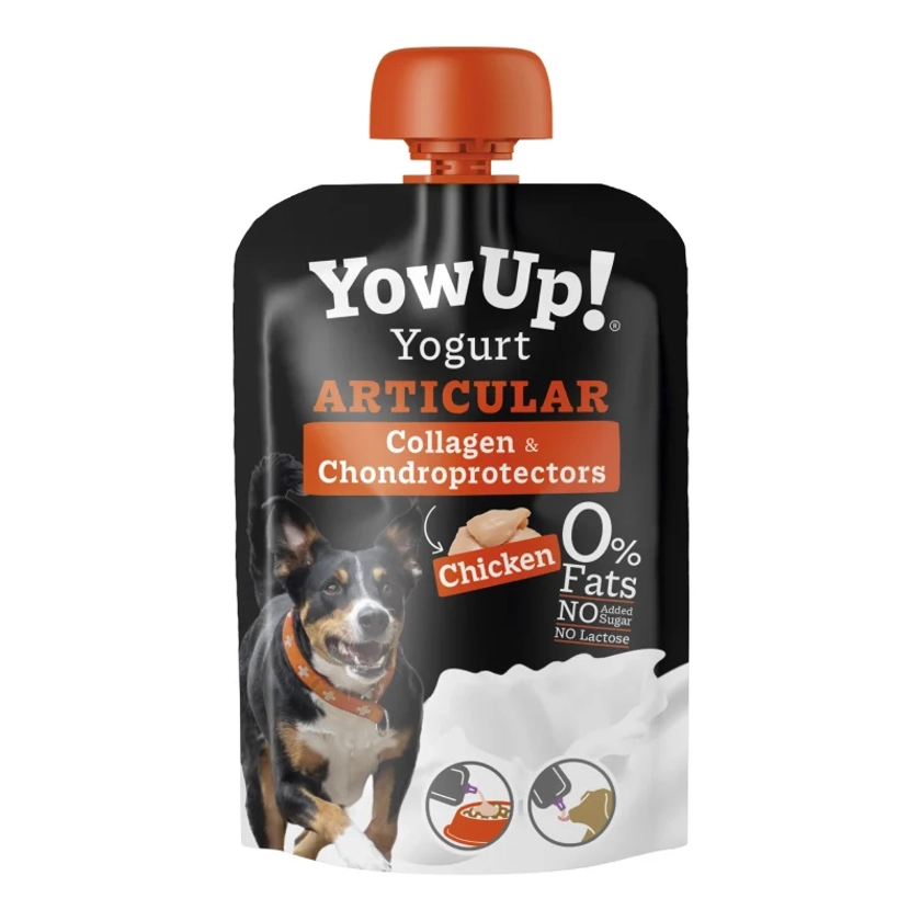 Yaourt Articular Poulet pour chien Yow Up !