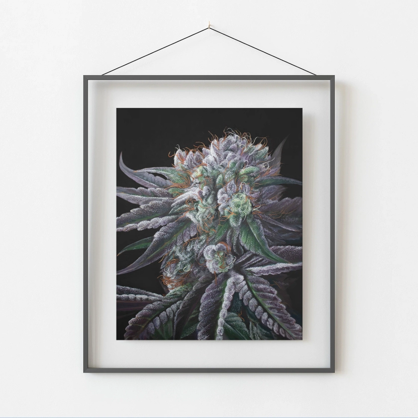 Black Afghan 8"x10" Cannabis Print