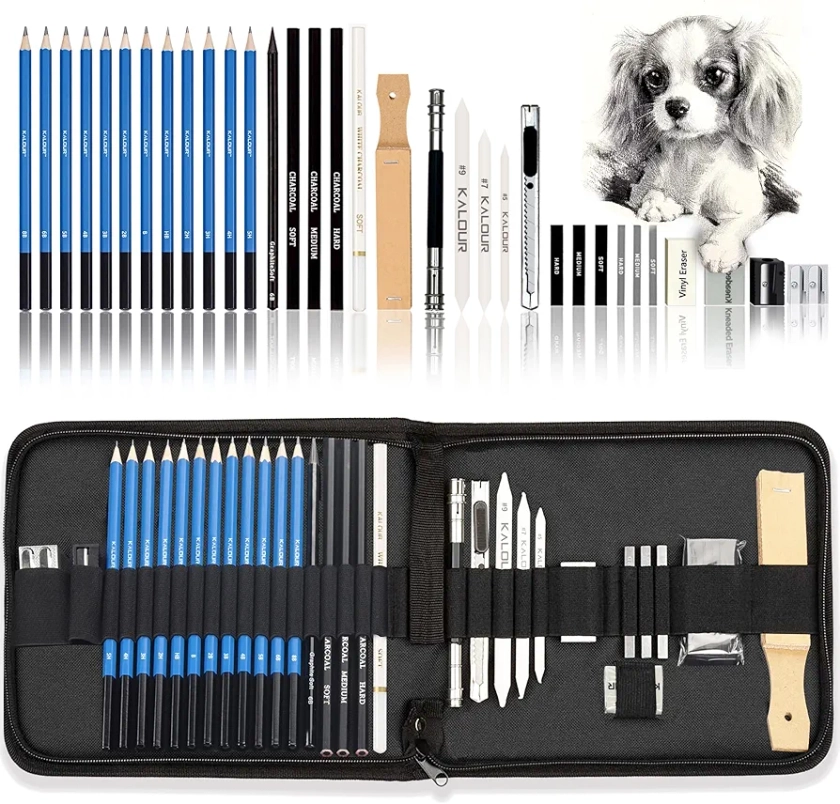 KALOUR 33 Pieces Pro Drawing Kit Sketching Pencils Set,Portable Zippered Travel Case-Charcoal Pencils, Sketch Pencils, Charcoal Stick,Sharpener,Eraser.Art Supplies for Artists Beginner Adults Teens