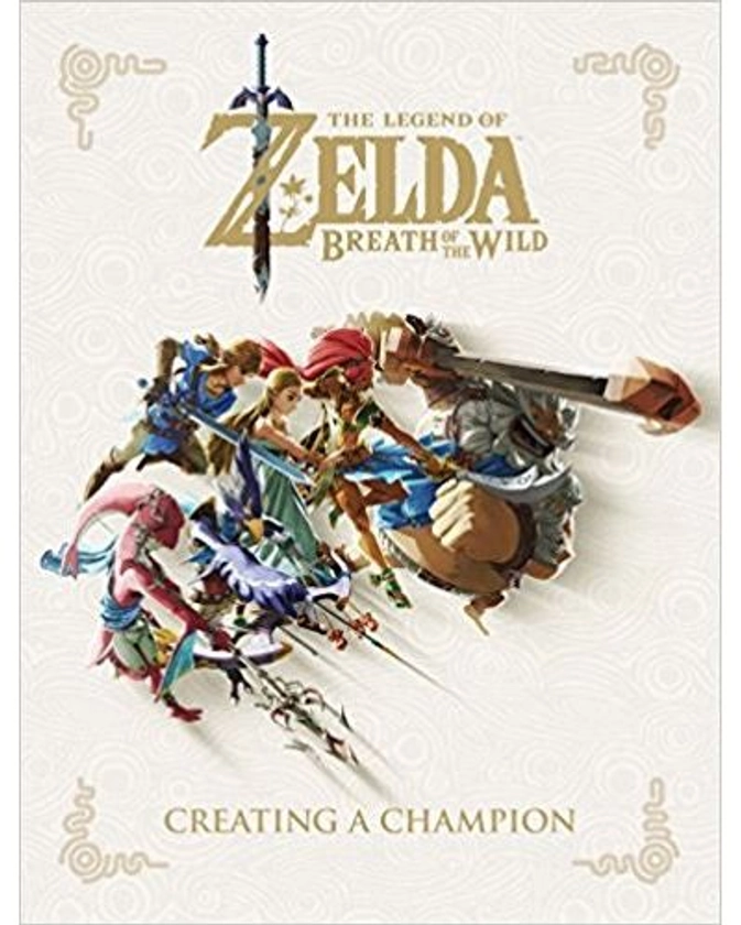 The Legend Of Zelda -  : Breath of the wild, Creating a champion