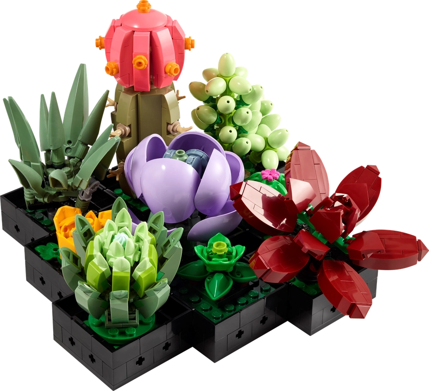 Les succulentes 10309 | LEGO® Icons | Boutique LEGO® officielle FR 