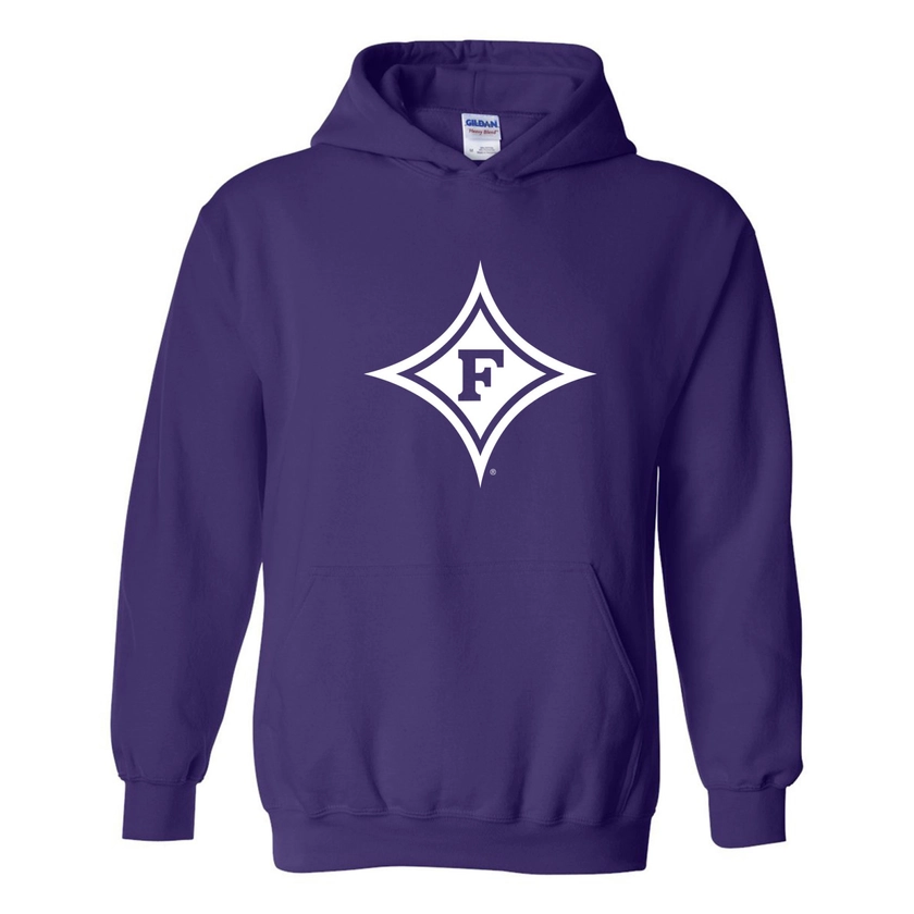 Paladins Primary Logo Hoodie - Purple