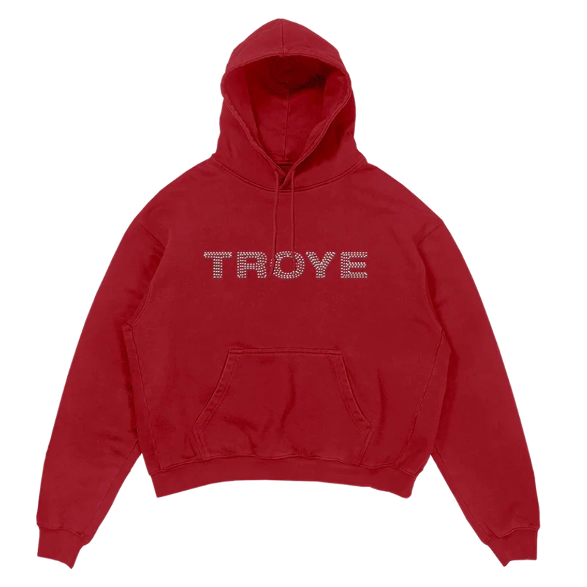 TROYE RHINESTONE HOODIE - Troye Sivan