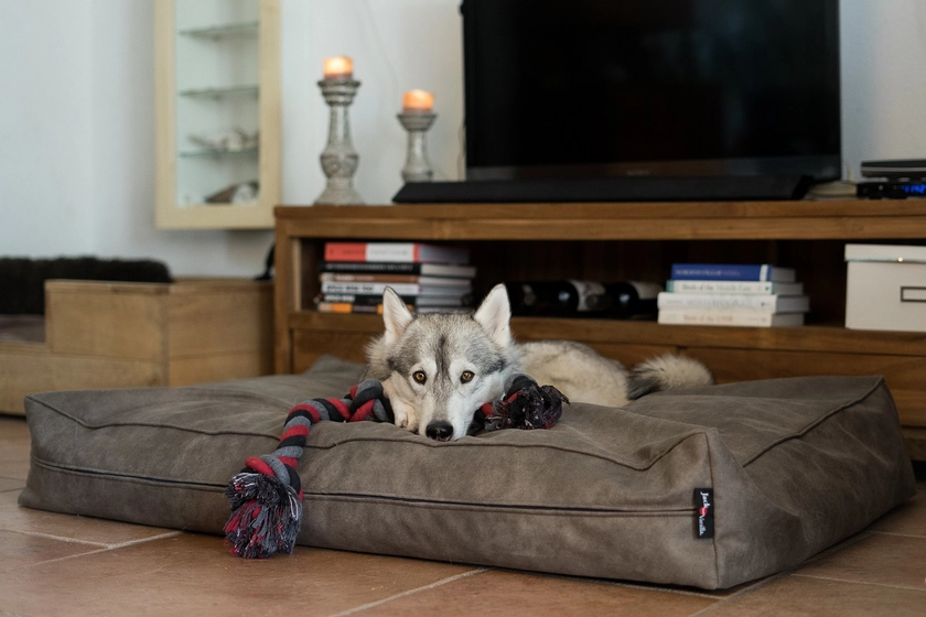 Jack & Vanilla Classy Hundebett Stone