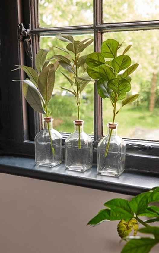 Faux Eucalyptus In Glass Vase