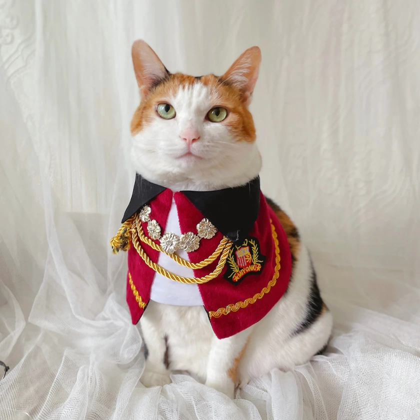Royal Prince Nobility Count Cape Manteau Cloths for Cat Dog Halloween Costume Christmas Birthday Gift Photoshoot Tiktok Miyopet - Etsy UK