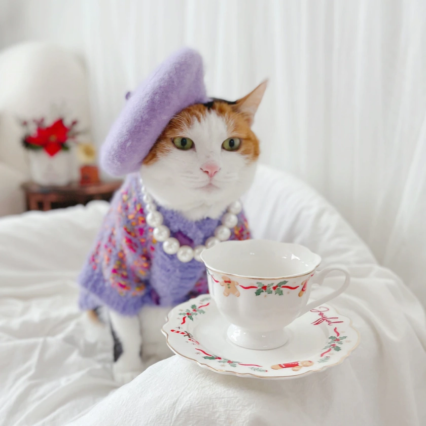 Purple Tweed Knit Sweater for Pet Cat Dog Winter Coat Costume Hat Necklace Sunglasses Christmas Birthday Gift Photoshoot Tiktok Miyopet - Etsy UK