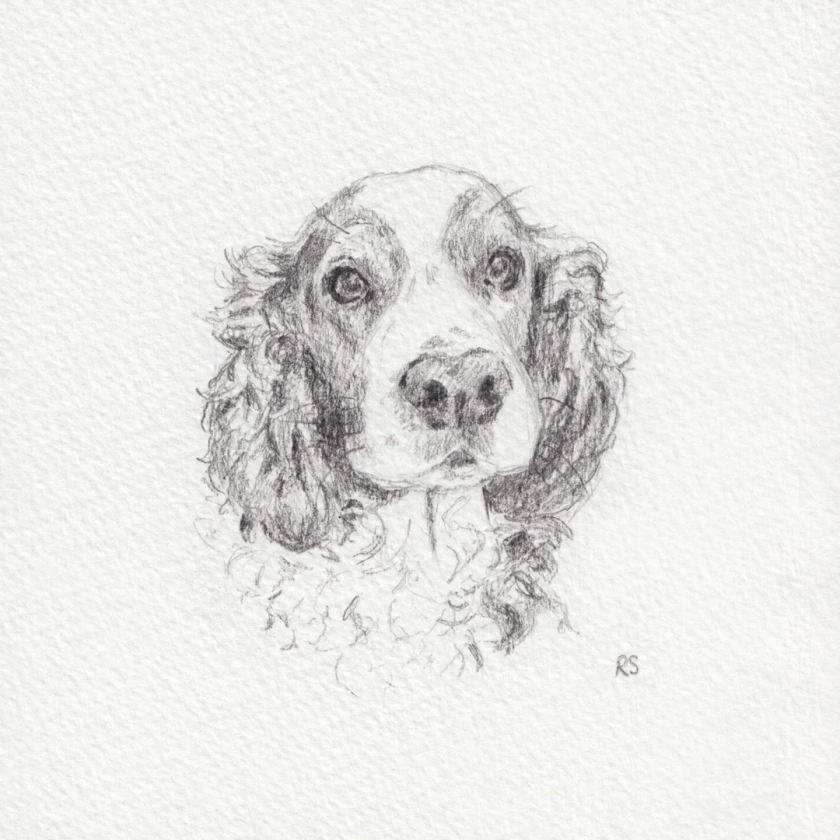 Mini Pet Portrait Pencil Drawing, Small Pet Drawing, Pet Sketch from Photo, Pet Portrait Commission, Small Pet Pencil Sketch Commission