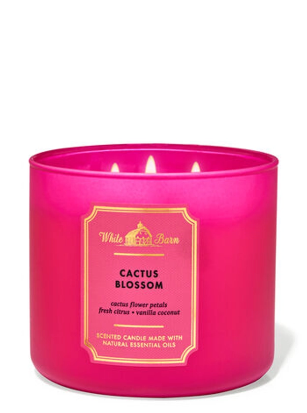White Barn Cactus Blossom 3-Wick Candle