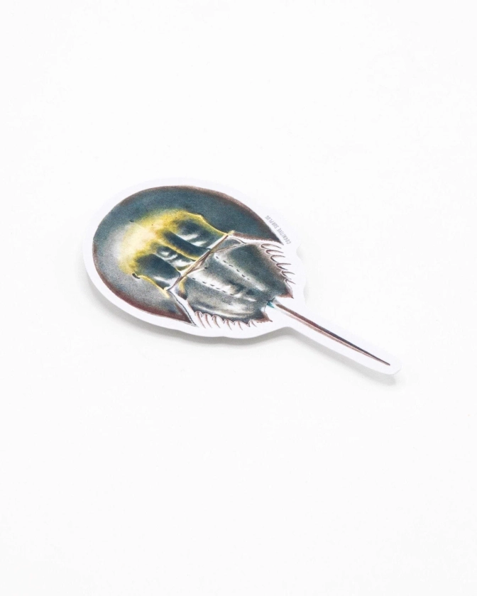 Horseshoe Crab Sticker