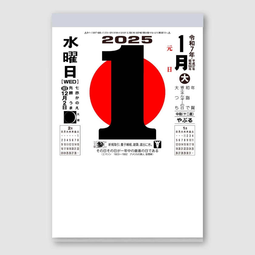 Hot Cool Tokyo — *Available For Preorder Now; Delivery Starting Mid September - Japanese Daily Wall Calendar #10 2025 Edition