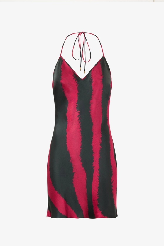 Robe courte à imprimé Zebra Tribute | Rouge | Femme | Roberto Cavalli FR