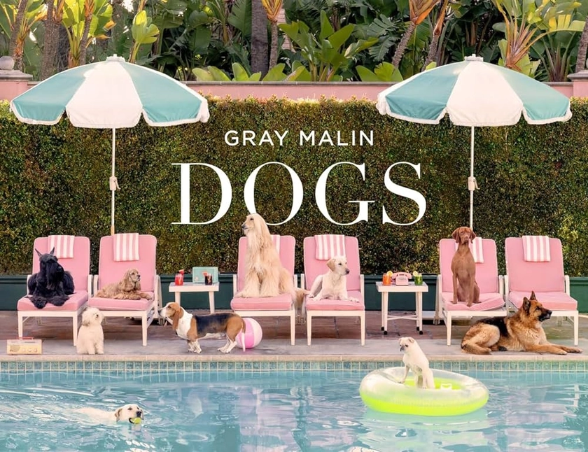 Gray Malin - Dogs: Photographs