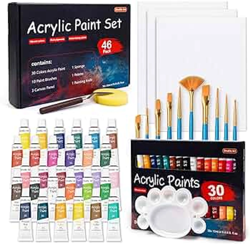 Shuttle Art 46 Pack Acrylic Paint Set, 30 Colors Acrylic Paint with 10 Brushes 3 Canvas 1 Knife Palette Sponge, Complete Gift for Kids, Adults, Beginners, Painting Wood, Ceramic