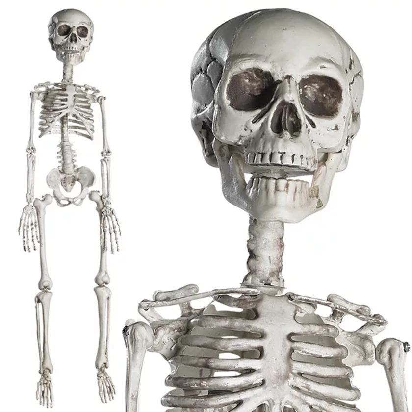 PREXTEX 30'' Halloween Skeleton for Halloween Décor, White