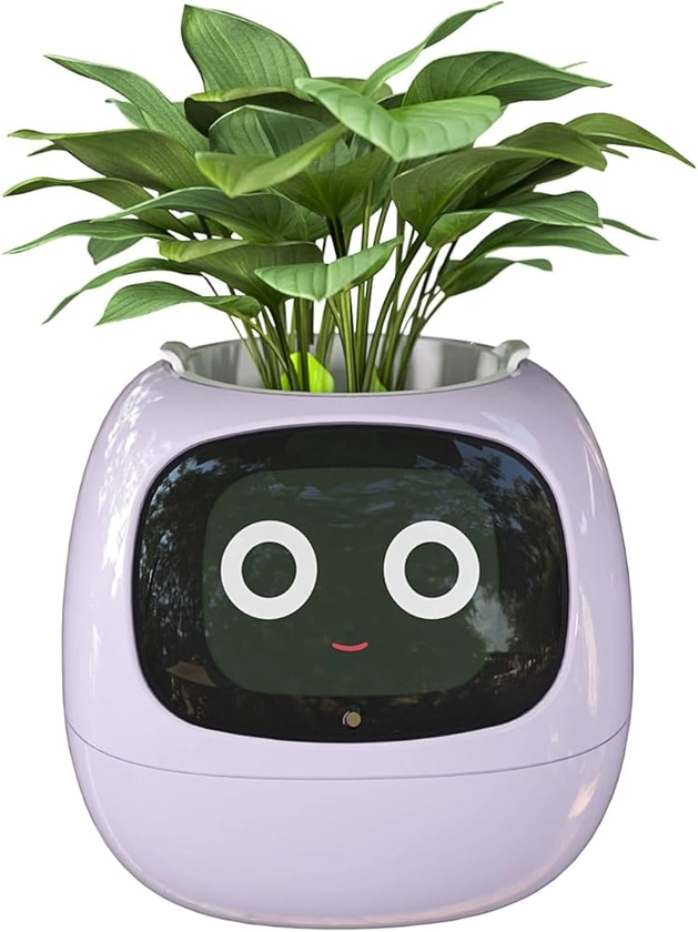 Masdio Pots de Fleurs intelligents, avec Intelligence Artificielle, Affichage de l'heure et de Nombreuses animations expressives basées sur l'environnement, pour décoration intérieure (Violet)