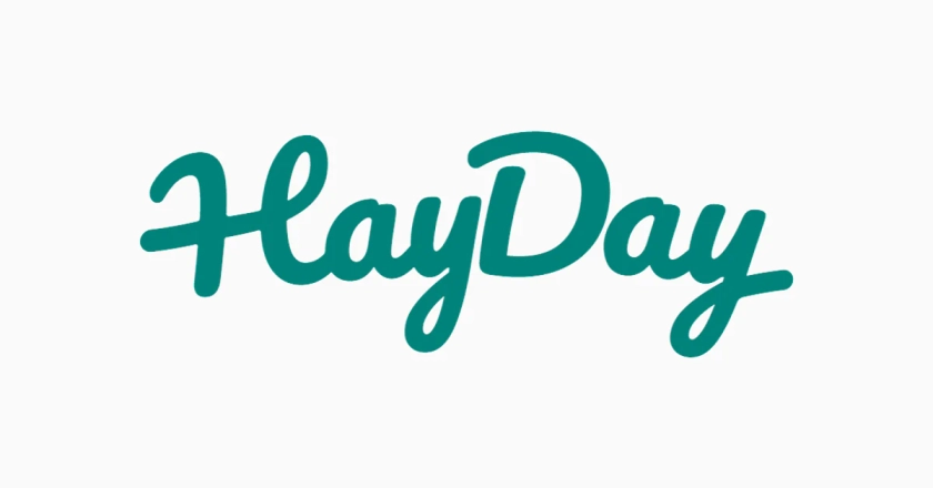 HayDay Hay Boxes For Small Pets – HayDay HQ