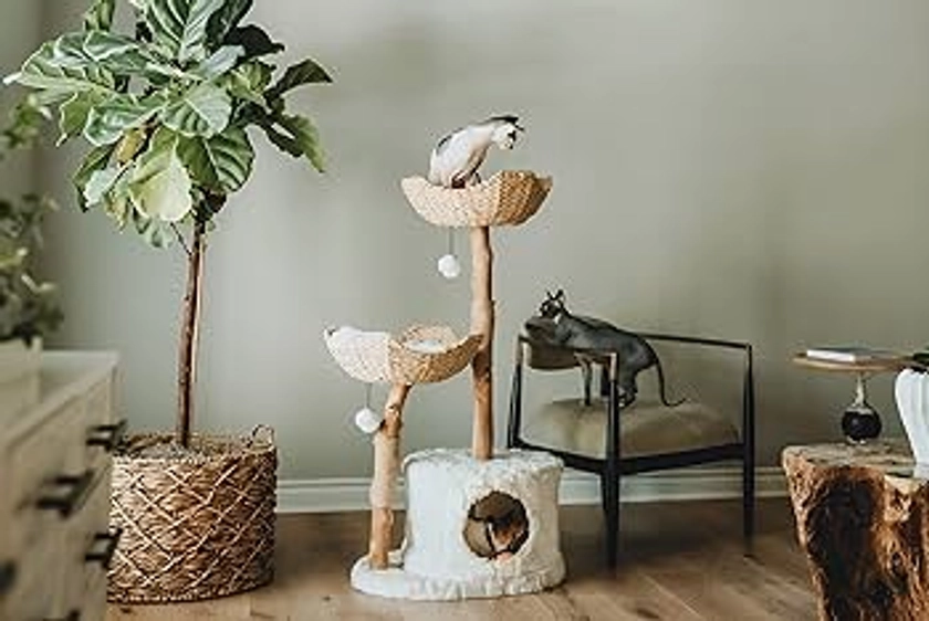 MAU Modern Cat Tree Tower for Large Cats, Real Branch Luxury Cat Condo, Wood Cat Scratching Tree, Cat Lover Gifts by Mau Lifestyle