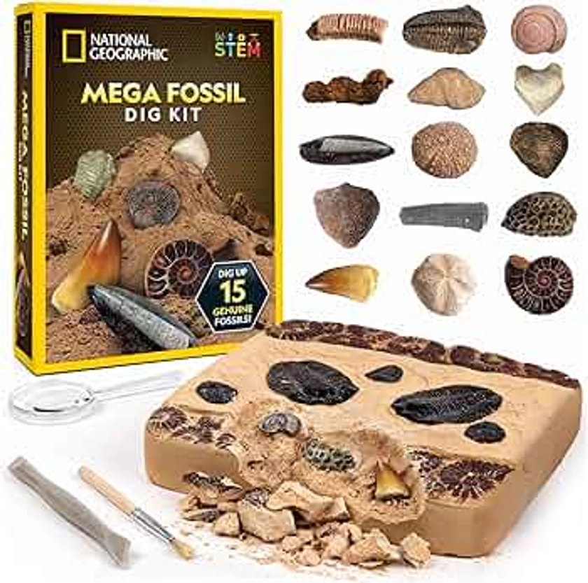 NATIONAL GEOGRAPHIC Mega Fossil Dig Kit - Excavate 15 Genuine Prehistoric Fossils, Kids Fossil Kit, Educational Toys, Great Science Kit Gift for Girls and Boys (Amazon Exclusive)