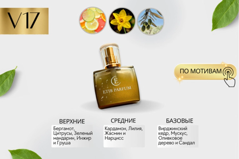 Versace Versense / V17 купить в Минске: парфюм, цена | ETIB PARFUM